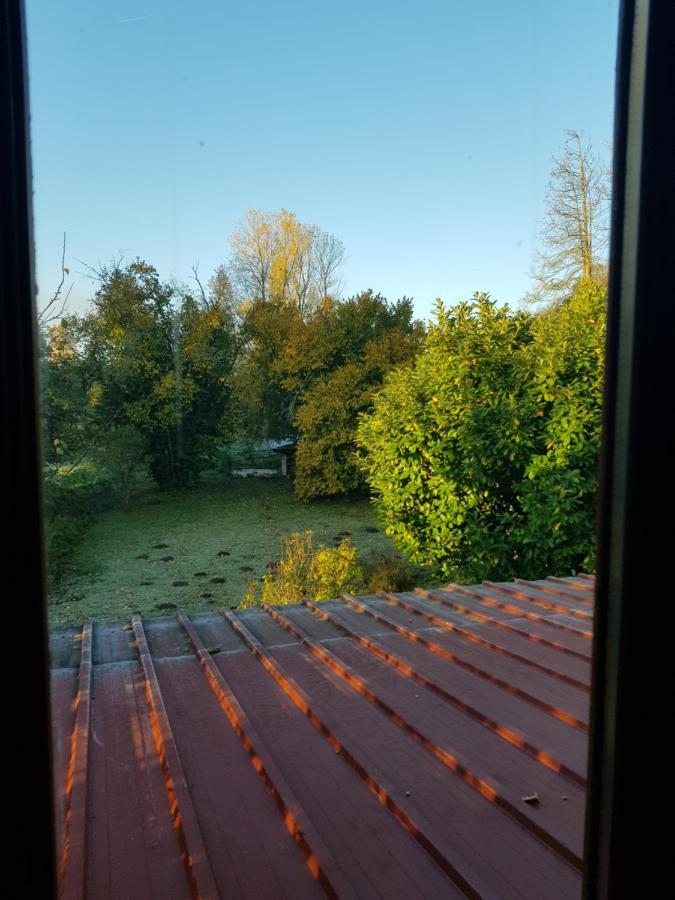 La Pensine Du Celebre Sorcier Appartement