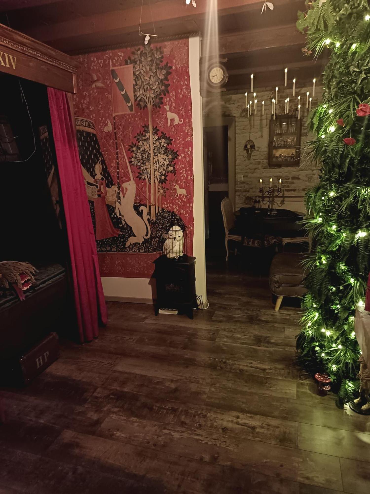La Pensine Du Celebre Sorcier Apartment
